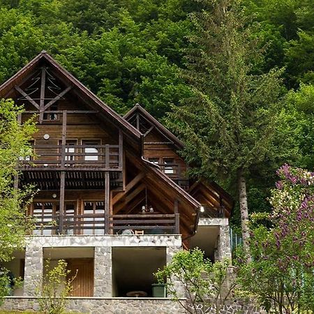 Florile Bucegilor Villa Sinaia Eksteriør bilde