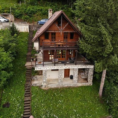 Florile Bucegilor Villa Sinaia Eksteriør bilde