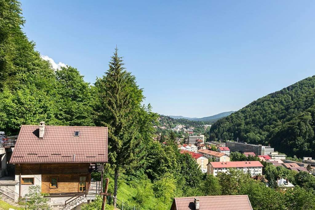 Florile Bucegilor Villa Sinaia Eksteriør bilde