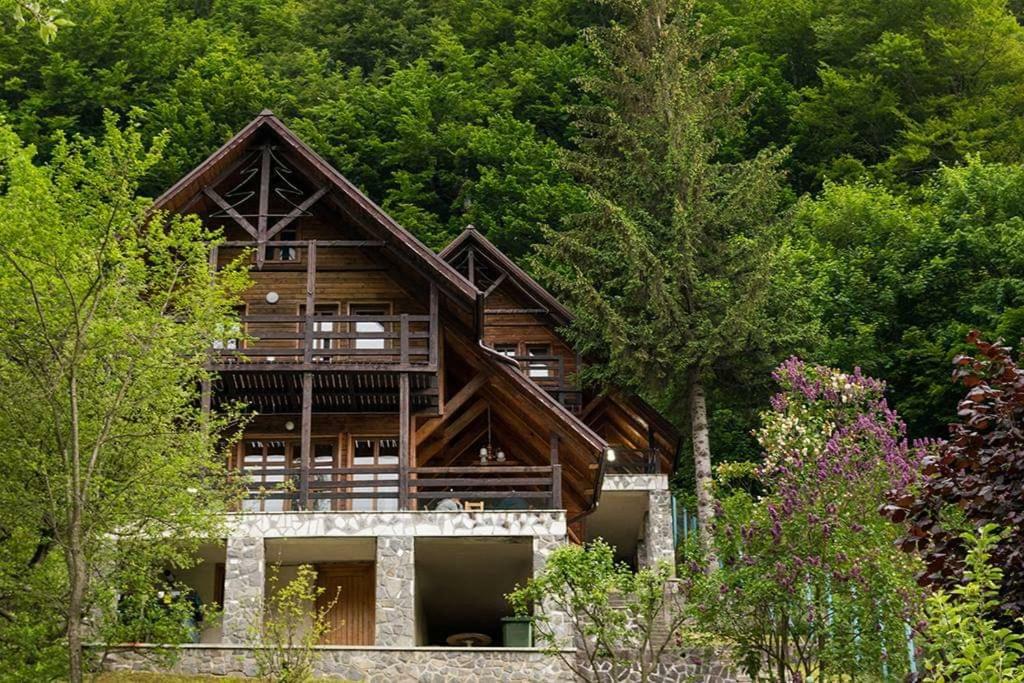 Florile Bucegilor Villa Sinaia Eksteriør bilde