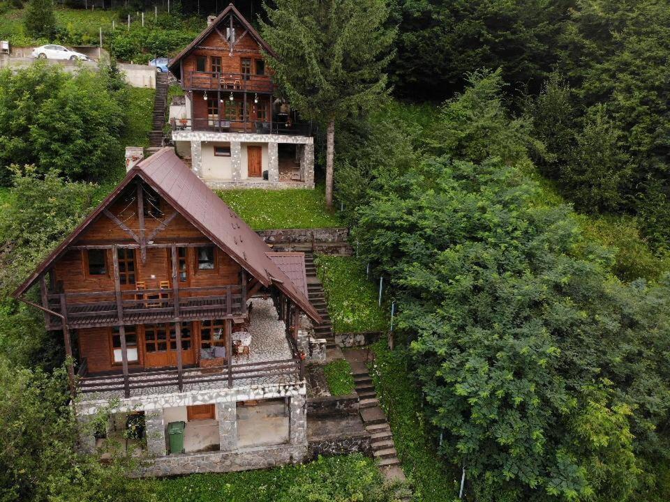 Florile Bucegilor Villa Sinaia Eksteriør bilde